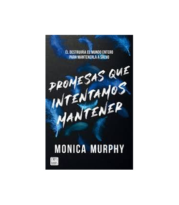 PROMESAS QUE INTENTAMOS MANTENER