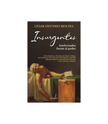 INSURGENTES - INTELECTUALES FRENTE PODER
