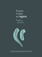 PUNTO TRIPLE DEL AGUA