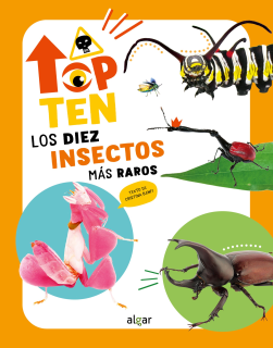Top Ten Los diez insectos más raros