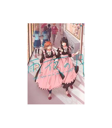 LA LUNA EN UNA NOCHE DE LLUVIA 7