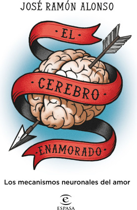 El cerebro enamorado