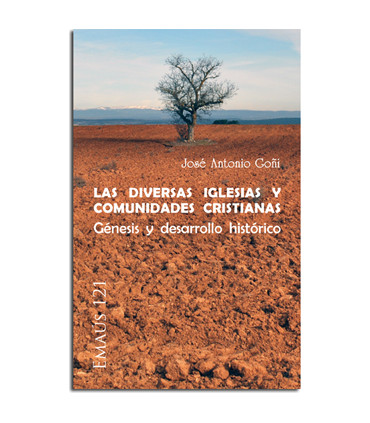 Las diversas Iglesias y comunidades cristianas