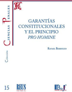 Garantías constitucionales y el principio pro homine