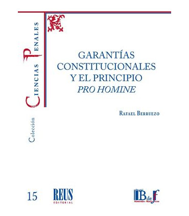 Garantías constitucionales y el principio pro homine
