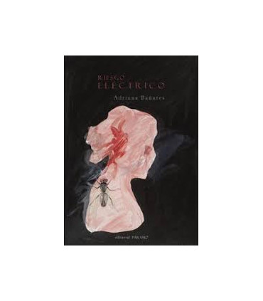 RIESGO ELECTRICO