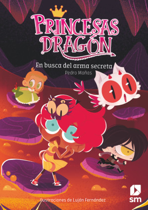 PRINCESAS DRAGON 13 EN BUSCA DEL ARMA SE