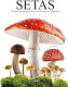 SETAS