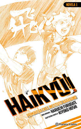 HAIKYU (NOVELA)  01