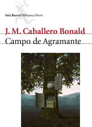 Campo de Agramante