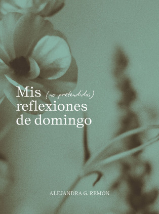 MIS (NO PRETENDIDAS) REFLEXIONES DE DOMI