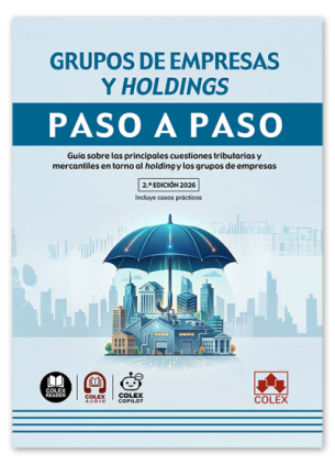 Grupos de empresas y holdings. Paso a paso