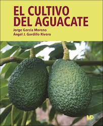 El cultivo del aguacate