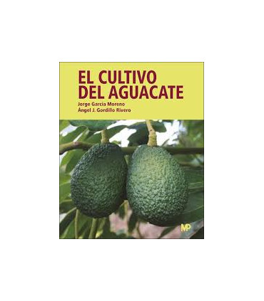 El cultivo del aguacate