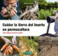 CUIDAR LA TIERRA DEL HUERTO PERMACULTURA