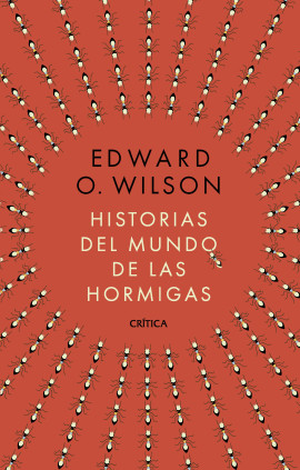 Historias del mundo de las hormigas