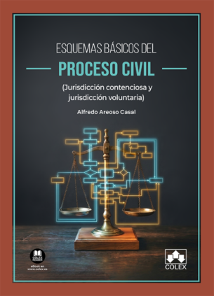 Esquemas básicos del proceso civil (jurisdicción contenciosa y jurisdicción voluntaria)