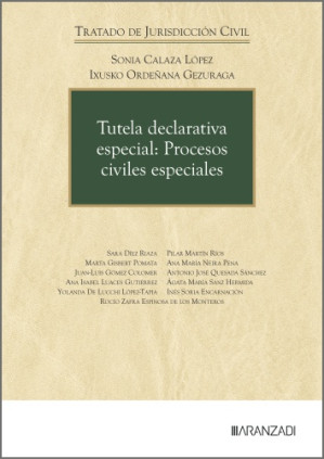 Tutela declarativa especial: Procesos civiles especiales
