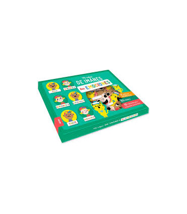 MI ESTUCHE DE IMANES LAS EMOCIONES