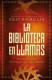 LAS BIBLIOTECA EN LLAMAS