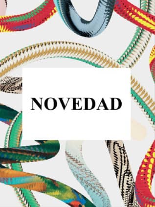 Martius. El libro de las palmeras. 45th Ed.