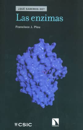 Las enzimas