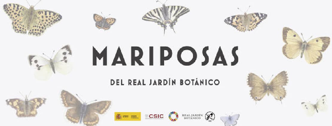 Mariposas del Real Jardín Botánico
