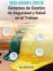 ISO 45001:2018 Sistemas de Gestión de Seguridad y Salud en el Trabajo