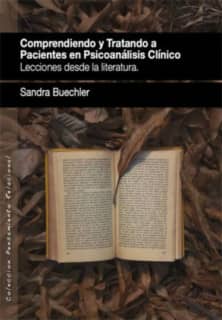 Comprendiendo y tratando a pacientes en psicoanálisis clínicos