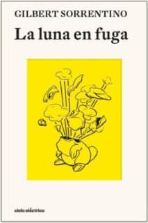 LA LUNA EN FUGA