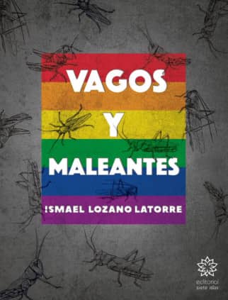Vagos y maleantes