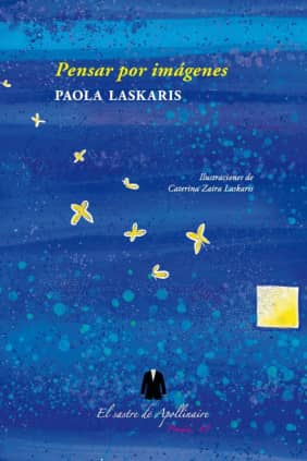 Pensar por imágenes