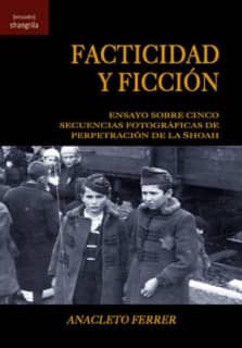 Facticidad y ficción