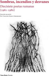 Sombras, incendios y desvanes