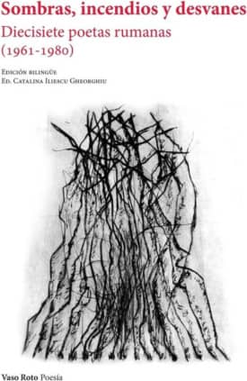 Sombras, incendios y desvanes