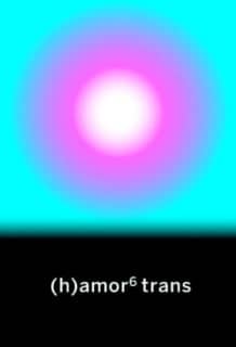 (h)amor 6 trans