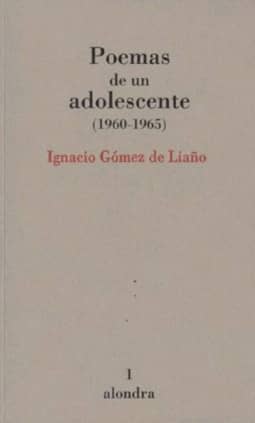 Poemas de un adolescente (1960-1965)
