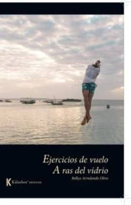 Ejercicios de vuelo/ A ras del vidrio