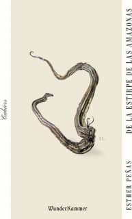 De la estirpe de las amazonas