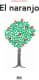 El naranjo