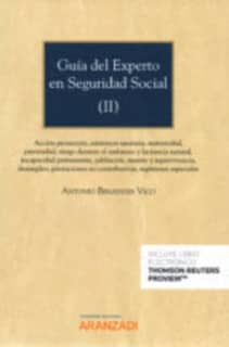Guía del experto en Seguridad Social (I) (Papel + e-book)