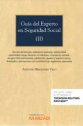 Guía del experto en Seguridad Social (I) (Papel + e-book)