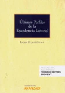 Últimos perfiles de la excedencia laboral (Papel + e-book)
