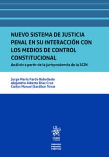 Nuevo sistema de justicia penal en su interacción con los medios de control constitucional