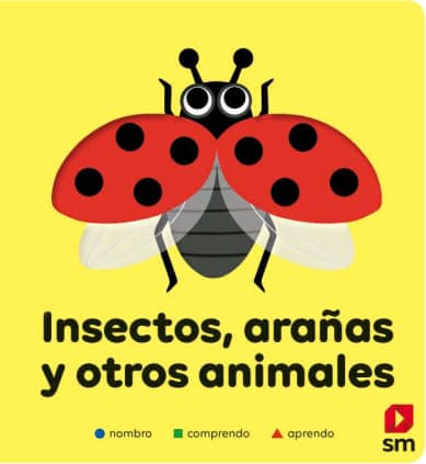 INSECTOS ARAÑAS Y OTROS ANIMALES