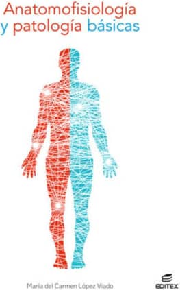 ANATOMOFISIOLOGIA Y PATOLOGIA BASICAS 20