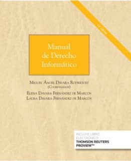 Manual de Derecho Informático (Papel + e-book)