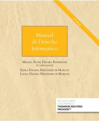 Manual de Derecho Informático (Papel + e-book)