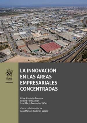La Innovación en Las Áreas Empresariales Concentradas