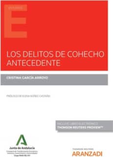 Los delitos de cohecho antecedente (Papel + e-book)